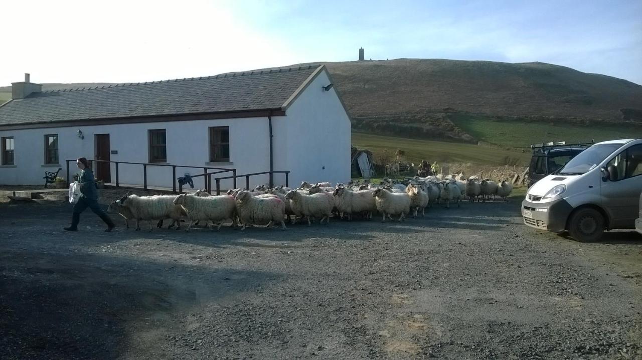 Knockaloe Beg Farm Bed & Breakfast Patrick Dış mekan fotoğraf